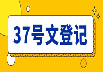 37號文詳解